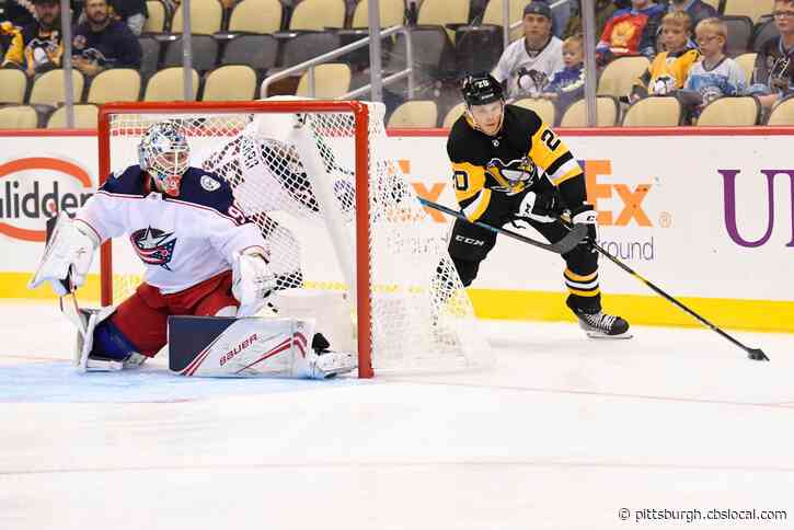 Forward Kasper Bjorkqvist Re-Signed To One-Year Contract Worth $750K With Pittsburgh Penguins
