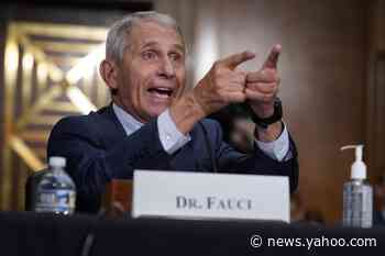 Fauci: 'There's no way' the coronavirus was made with U.S. research funds. Here's why - Yahoo News