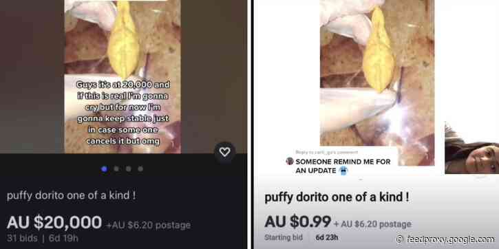 Doritos offers a 13-year-old girl $20,000 as a reward for discovering a rare 'puffy' chip, which she listed on eBay