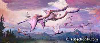 Agile Fliers: Newly-Hatched Pterosaurs May Have Been Able To Fly