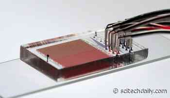 Stanford Device Enables Thousands of Synthetic DNA Enzyme Experiments To Run Simultaneously