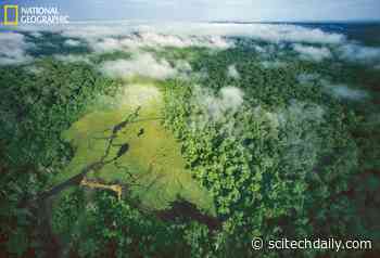 Helping Avoid a “Tipping Point” – New Way To Measure Tropical Forest Vulnerability