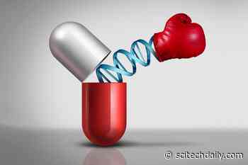 New Gene Therapy Developed That Could Be Effective Against Many Types of Cancer