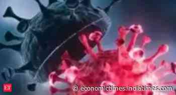 Cases of 'Kappa' variant of coronavirus found in Gujarat - Economic Times