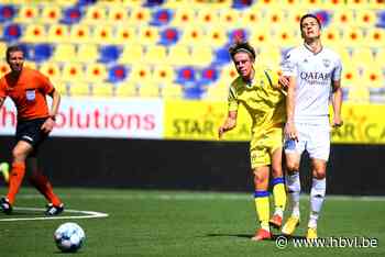 “Pitbull” Van Dessel klaar voor jaar van de waarheid - Het Belang van Limburg