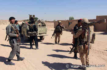Afghan translator who worked for US Army reportedly beheaded by Taliban