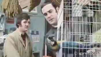 It is an ex-reference: B.C. judge removes 'dead parrot' joke from class-action ruling