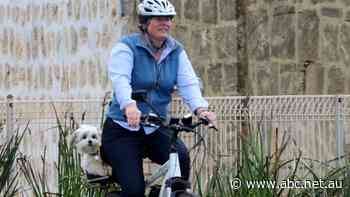 Call for crackdown as illegal e-bikes reaching speeds of more than 100 kilometres per hour