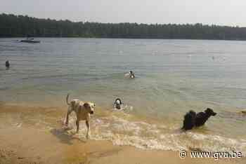 Ophef over mogelijke gifstrooier Warandeplas: “Nog geen meld... (Lille) - Gazet van Antwerpen Mobile - Gazet van Antwerpen