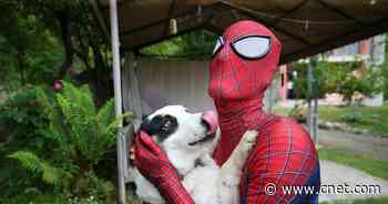 San Diego Comic-Con: Which superhero is most neurotic? Writers weigh in     - CNET