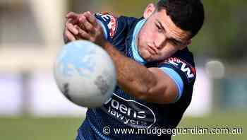 Cleary a no-go for Panthers against Storm - Mudgeee Guardian