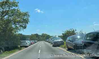 What more can be done to save pond from devastation? - Farnham Herald