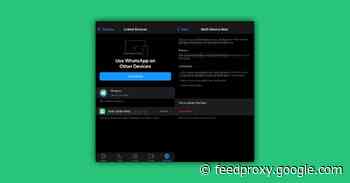 WhatsApp for iOS adds multi-device compatibility for some beta users