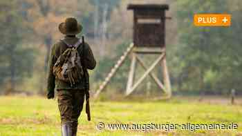 Jagd als Hobby: Ein junger Aichacher Jäger erzählt - Augsburger Allgemeine