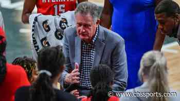 Atlanta Dream interim head coach Mike Petersen steps down due to health reasons