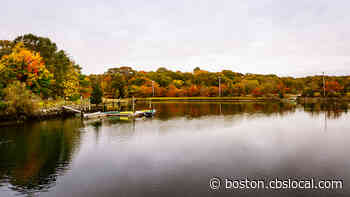Warnings Issued For 2 Rhode Island Ponds With High Bacteria - CBS Boston