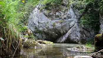 Wander- und Ausflugsziele: Die Schwarza im Höllental - meinbezirk.at