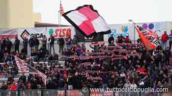 UFFICIALE - Molfetta, colpo a centrocampo: ecco l'ex Matelica Pizzutelli - TuttoCalcioPuglia.com