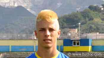 Ancona-Matelica, intesa col Legnago per la punta Rolfini - Tutto Lega Pro