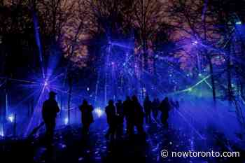 The Toronto Zoo is bringing back outdoor light display Terra Lumina - NOW Toronto
