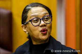 Parliament's police committee says it will hold executive accountable for recent unrest - News24