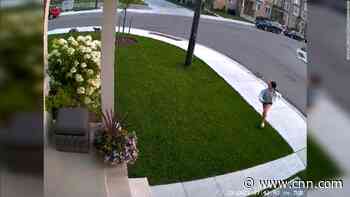 Video shows dog chase coyote away from 10-year-old