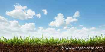 Prato: tutte le cure e quel che serve - Cose di Casa - Cose di Casa