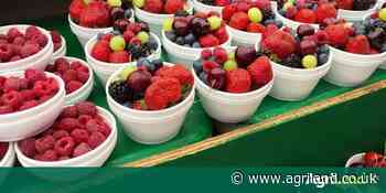 The 'increasing need' for plant-based food – DLL - Agriland.co.uk