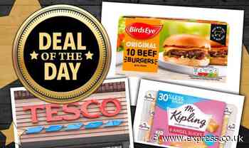 DEAL OF THE DAY: Tesco shoppers can get deals on BBQ food, dessert, ice cream and more - Express