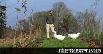 Spend it Better: How to move away from a junk food diet for plants and ourselves - The Irish Times