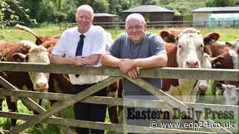 Cattle farmers and butchers create super-local food chain - Eastern Daily Press