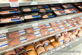 Q&A: Will England's National Food Strategy help tackle climate change? - Carbon Brief