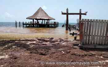 Ocultan en tiraderos de Cancún toneladas de sargazo - El Sol de Cuernavaca