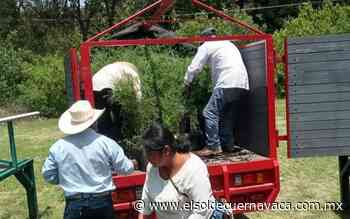 La población organizada reforestará Hueyapan - El Sol de Cuernavaca