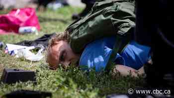 Fallout from Toronto's homeless encampment removals continues