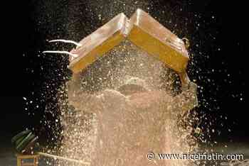 Notre sélection de 7 idées loisirs pour passer un bon lundi sur la Côte d'Azur
