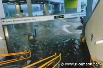 Des pluies torrentielles entraînent des inondations à Londres