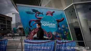 'Rebuild the vibrancy': Delight, joy as Toronto tourist attractions reopen