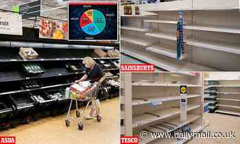Supermarket shelves will empty again within WEEKS unless 'pingdemic' is tackled, experts warn 