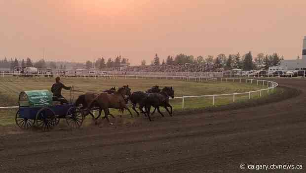 Chuckwagon horse euthanized after incident at Red Deer, Alta. rodeo