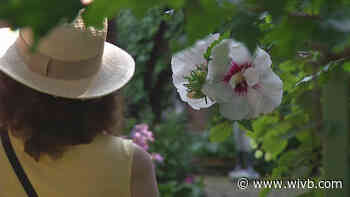 Buffalo Garden Walk comes to a close