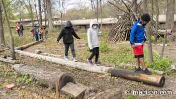Lake View Elementary worried development could change nature of school forest - Madison.com