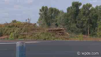 Neighbors worry tree removal for new development takes the 'forest' out of Carolina Forest - wpde.com