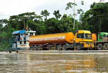 Nearly 20% of Intact Forest Landscapes Overlap With Extractive Industries Such As Mining, Oil and Gas - SciTechDaily