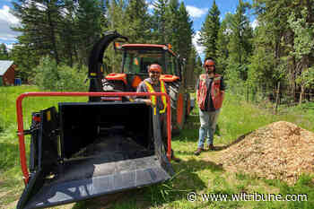 Wood chipper trials underway at UBC Alex Fraser Research Forest – Williams Lake Tribune - Williams Lake Tribune