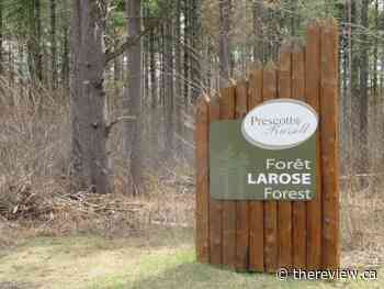 Cabins and bike shop at Larose Forest, floodplain study update - The Review Newspaper