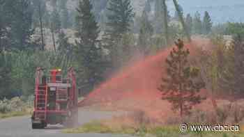 B.C. authorities warn against visiting areas under wildfire alerts, as more than 250 fires burn