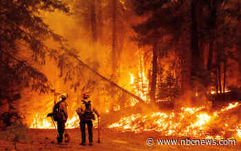 Homes destroyed in California as wildfires continue to rage