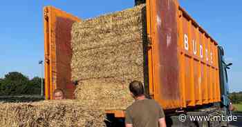 Heuballen, Rinderfutter und Silomais: Landwirte aus der Region senden Hilfe in die Hochwassergebiete - Mindener Tageblatt