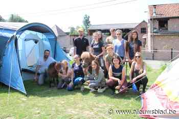 Tieners beleven toffe stage in manege